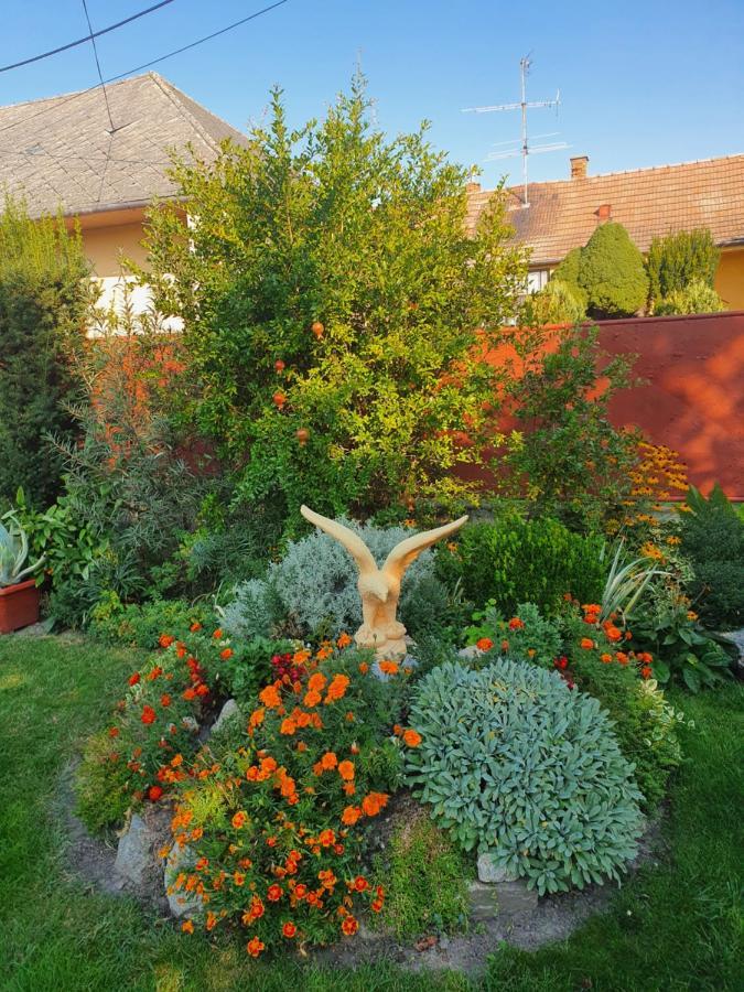 Apartamento Privat U Jozefa Foeldesa Veľký Meder Exterior foto